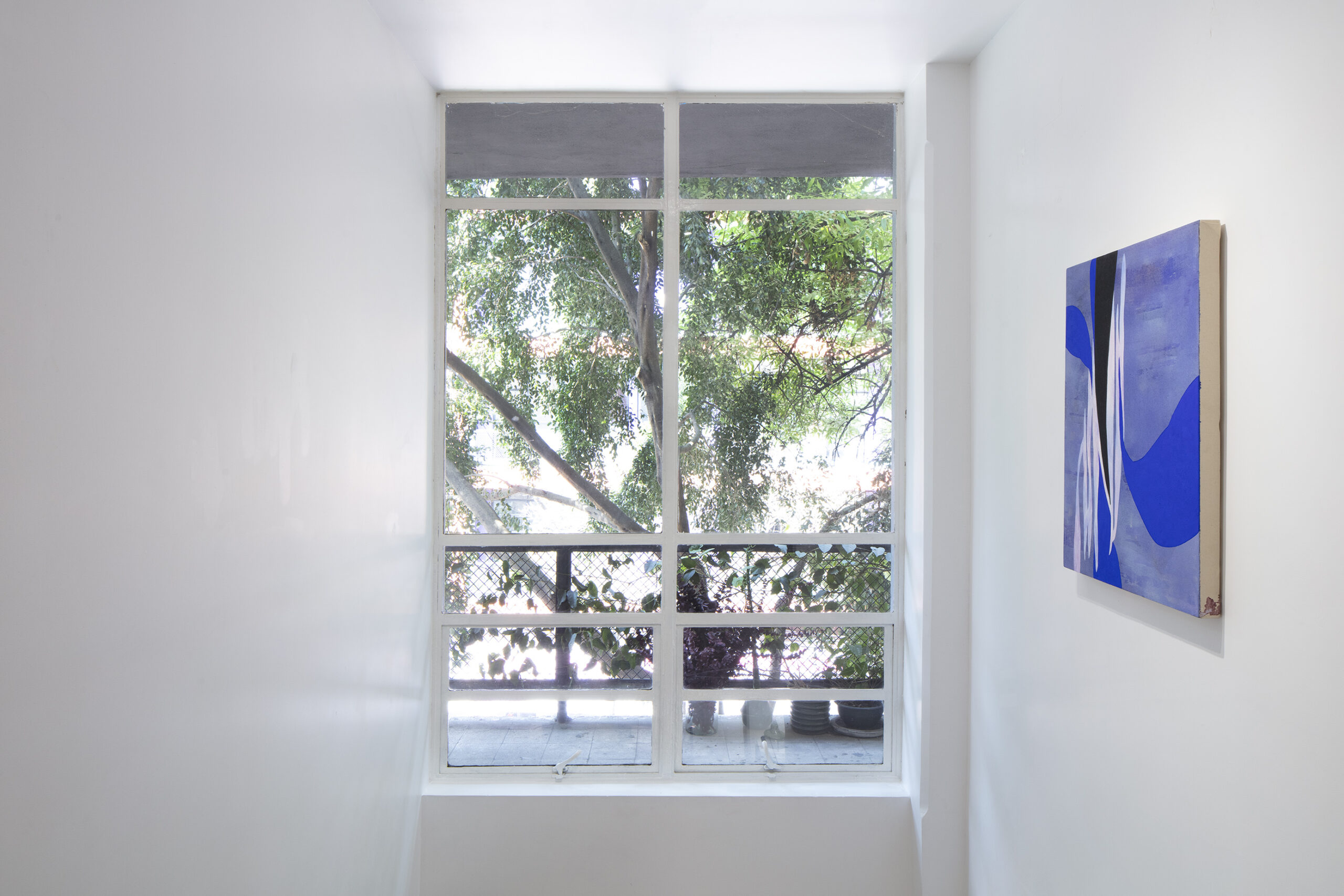Planta alta 16